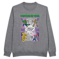 Teenage Mutant Ninja Turtles sweatshirt grey